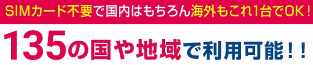 プロノモバイルwifi海外