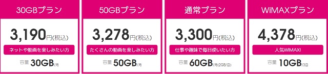 1年縛っちゃうプランレンタル料