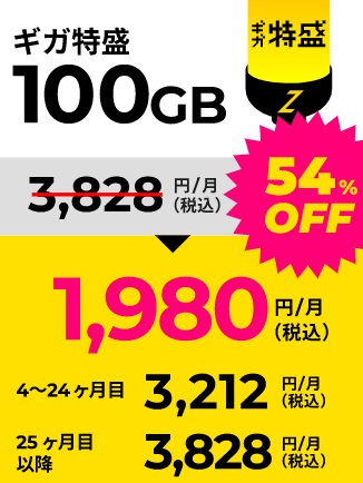 ゼウスwifi 100GB